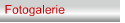 Fotogalerie